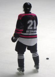 야로슬라프 베드나르시